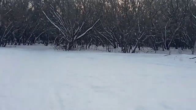 Разговорчики... Прогулка С Азаматом По Зимнему Парку