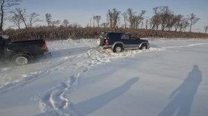 охота на фазана в секретном месте#Амурская#область#2022#