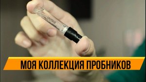 МОЯ КОЛЛЕКЦИЯ АРОМАТОВ С САЙТА RANDEWOO