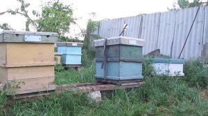 Погрузка ульев. Тележка - подъёмник.