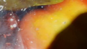 разбор канкулятора электроника мкш 2.