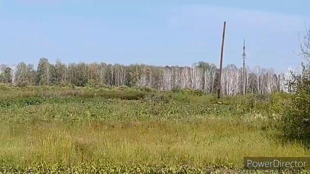 Утро!!! Деревня!!! Что я НАШЛА в кустах 😁👍 смотреть онлайн