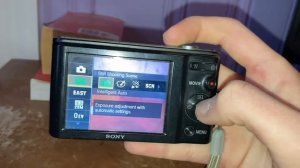 Sony Cybershot DSC-W800 Digital Camera