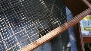 Инкубатор Блиц 48 модернизация.