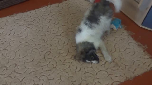 Филька . только найден . смотреть онлайн