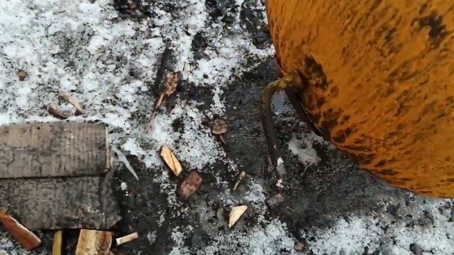 Мангал - коптилка из газовых баллонов. Коптилка своими руками.