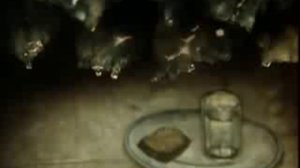 Сказка сказок