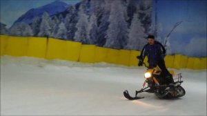 Динго Т150 и Мухтар