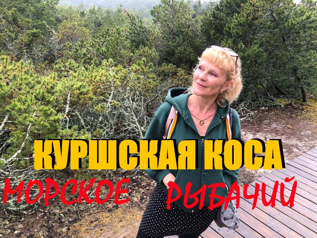 Куршская коса2Высота Эфа,Озеро Лебедь(Морское-Рыбвчий).Кабаны,лисы,дождь,море,пикник на озере.заливе