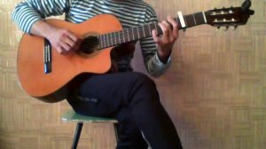 Sting & Dominic Miller - Fields Of Gold (Fingerstyle Guitar) Esteve 3EC