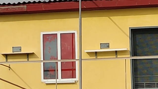 НИКОЛАЕВСКИЕ ГОЛУБИ: (прилетела красная голубка домой,но она мне не нужна.) смотреть онлайн