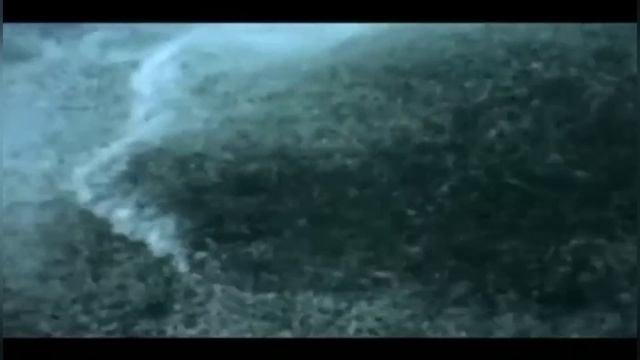 ЕСЛИ БЛИЗКИЕ ЛЮДИ ВОЮЮТ МЕЖДУ СОБОЙ, ЗНАЧИТ НА НИХ ВОЗДЕЙСТВУЮТ РАЗНЫЕ ДУХИ, КРОМЕ ДУХА СВЯТОГО.. смотреть онлайн