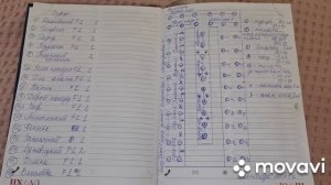 Планирование теплицы 6/3/как распределить теплицу/как уместить всё в одной теплице/огурцы с томатам