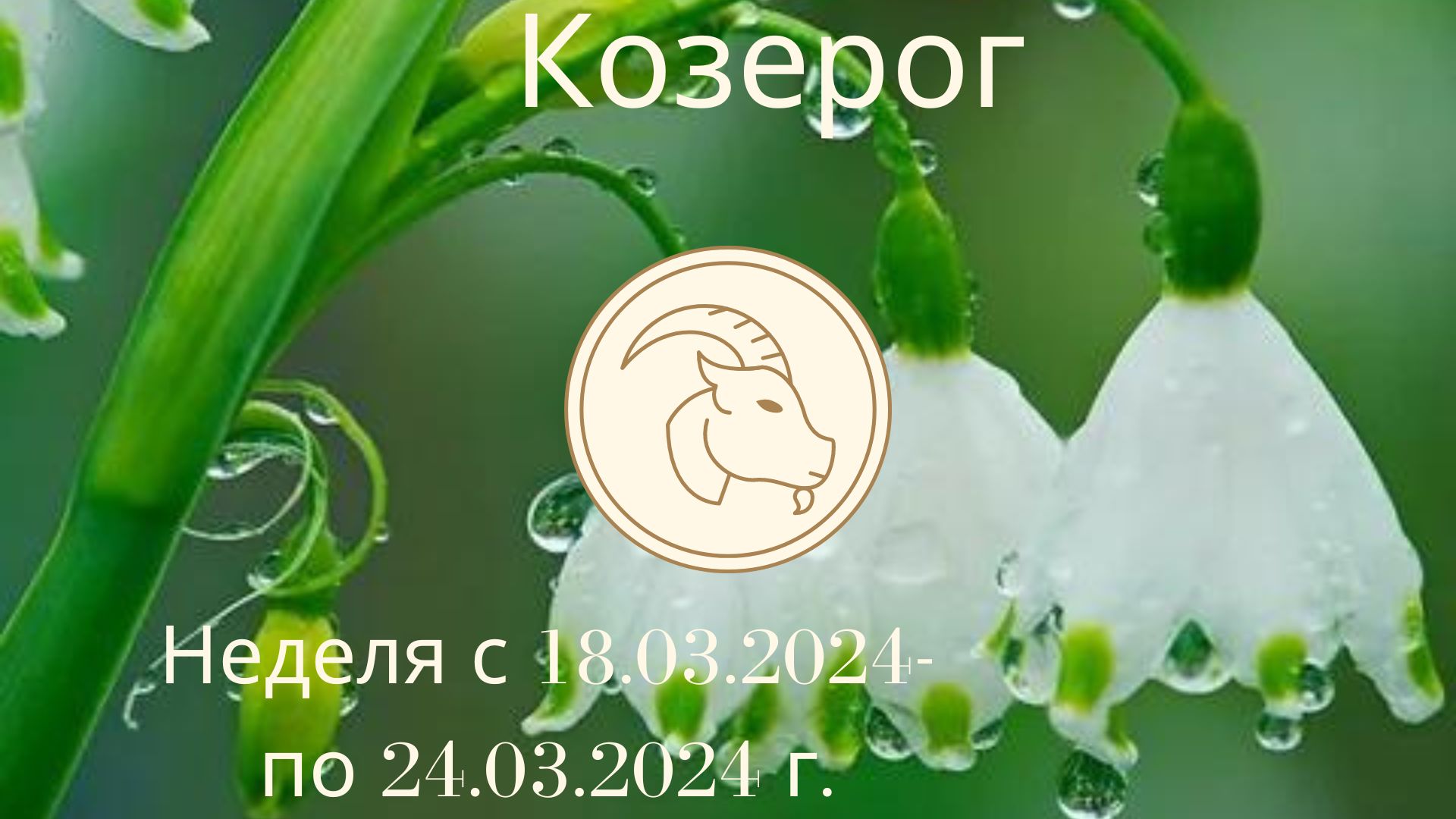 Козерог. Гороскоп на неделю с 18 марта по 24 марта 2024 года.