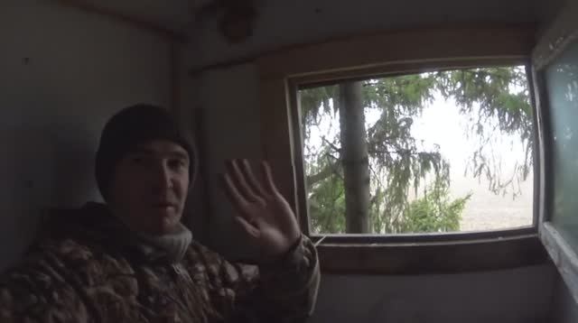 ПРИВАДА НА ЛИСИЦУ С ЛАБАЗОМ 2 ЧАСТЬ... смотреть онлайн