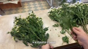 Видео в новом формате ???