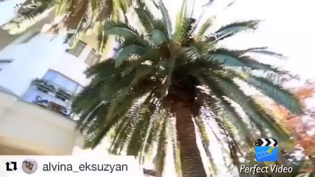 Грач УСТЯН свадебное платье Георгий Кот смотреть онлайн