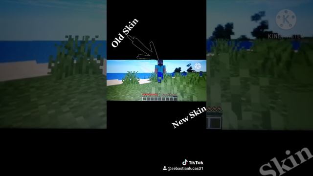 My Old Skin and my new skin in Minecraft java