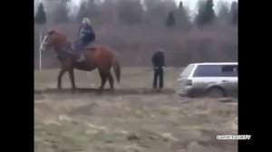 На что способна одна лошадиная сила?