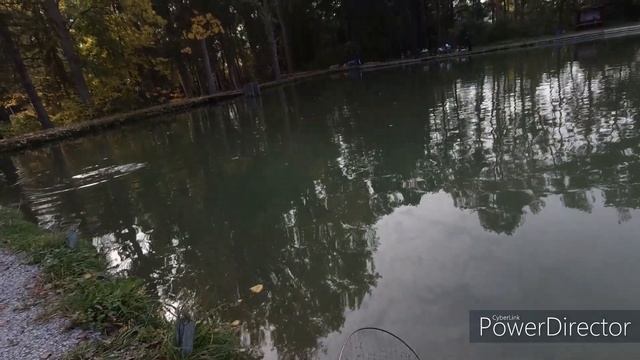 MONSTER FORELLEN Angel-Sport und Freizeitpark. Ловля форели. Форель утащила спиннинг!