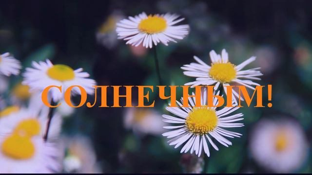 Хорошего дня! смотреть онлайн