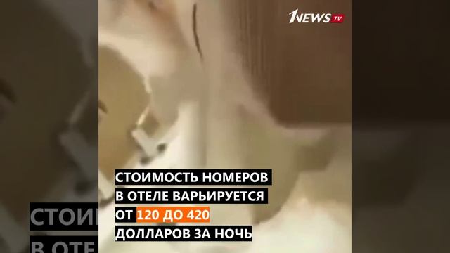 #briefly - Уборщицы моют посуду туалетными ершиками смотреть онлайн