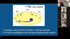 Физиология возбудимых тканей