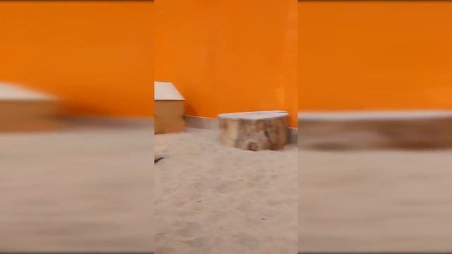 сурикаты в колумбусе на пражской смотреть онлайн