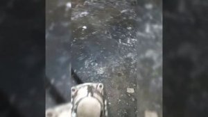 На МТЗ 82 поставил НШ 16 всё отлично ?