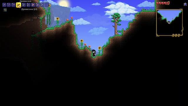 В ЧЁМ ЦЕЛЬ ИГРЫ ТЕРРАРИЯ? | Terraria