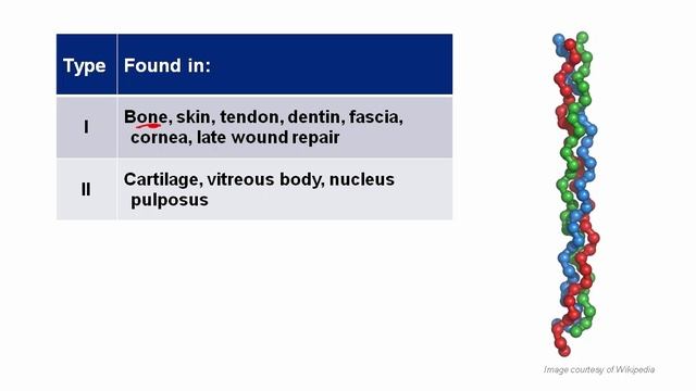 USMLE RX - 1.Биохимия - 1.Клеточная -  5.Коллаген