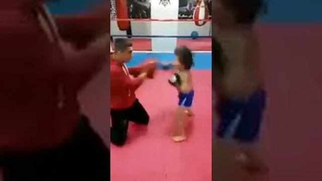 Молодой кикбоксёр. Ребёнок боец. смотреть онлайн