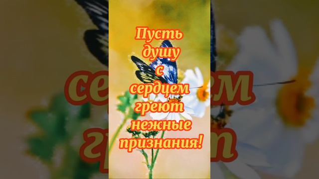 мои пожелания друзьям