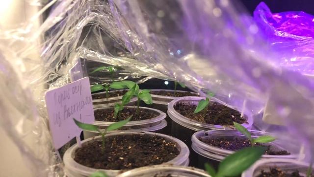 Дорогой дневник. Д810. смотреть онлайн