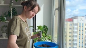 Ругаюсь на тех, кто использует керамзит как дренаж. Пересадка новеньких растений из кокоса.