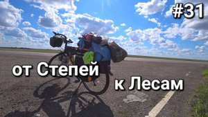 31. Россия-Казахстан, природа изменилась! от степей к лесам