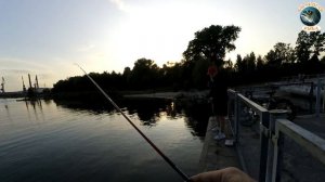 Рыболовный баттл в г. Светлый. Стритфишинг. Рыбалка в Калининграде