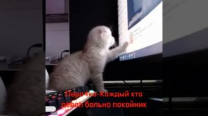 Леро4ка-Каждый кто делал тебе больно покойник speed up (текст в описании)