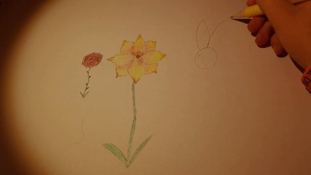 Red Rose, Marigold and Sunflower - Drawing Tutorial смотреть онлайн