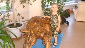 РОССИЯ БОГАТА ТАЛАНТАМИ