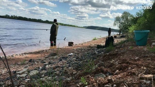 РЫБАЛКА В ПРОВОДКУ под Приволжским.На что клюёт БЫЧОК смотреть онлайн