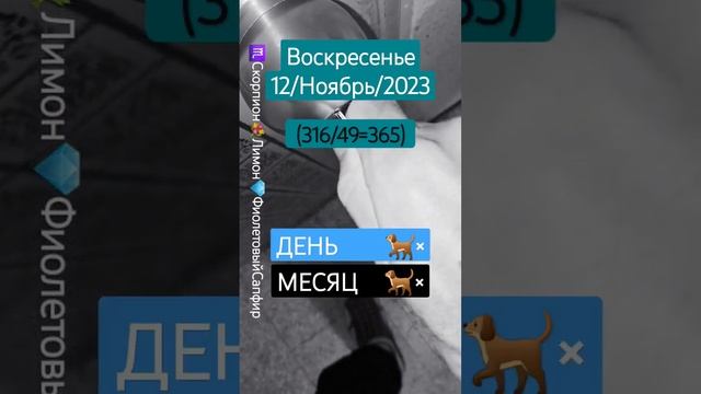 #Замок Воскресенье 12/Ноябрь/2023 (316/49=365) ♏️Скорпион?Лимон?ФиолетовыйСапфир ГОД×? МЕСЯЦ?×ДЕНЬ?