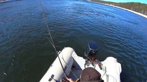 Ловим весеннего хариуса на Енисее вдали от города. Сезон 2021