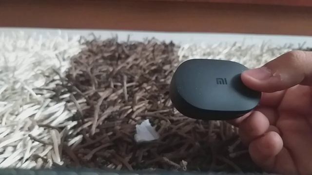 Unboxing Xiaomi Mi True Wireless Earbuds Basic S смотреть онлайн