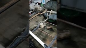 Каракат узел привода