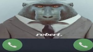 Секретный звонок дискорда (1 час)