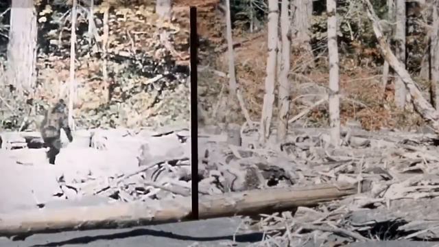 Настоящее видео снежного человека, 1967 год