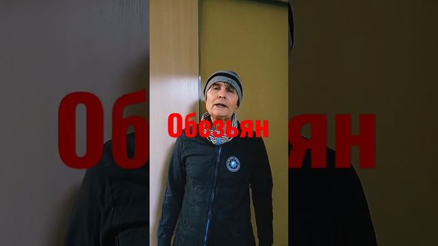 Международный день обезьян смотреть онлайн