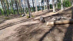 большое краснопе́рское  озеро