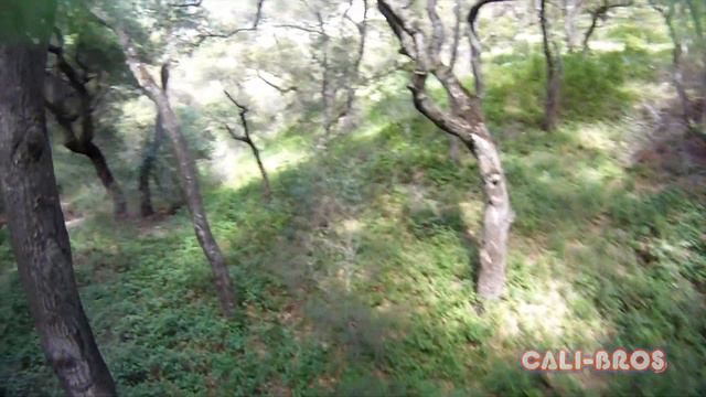 Quadcopter FPV Flying through poison and oak trees and Cr@sh! смотреть онлайн